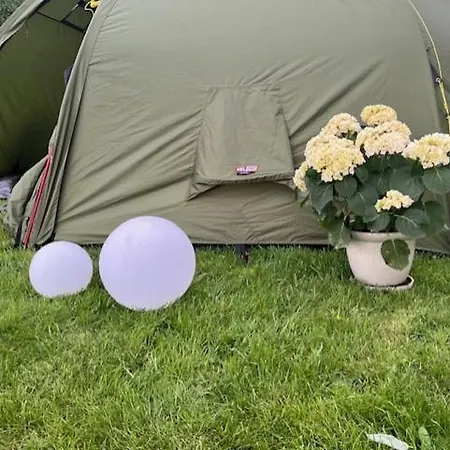 Glamping - Unikt Sted - Sjoutsikt